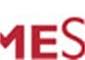 HomeSense logo