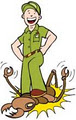 Island Pest Control image 2