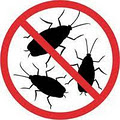 Island Pest Control image 5