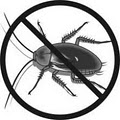 Island Pest Control image 6