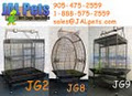 JAL Pets image 5