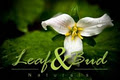 Leaf & Bud Naturals logo