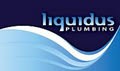 Liquidus Plumbing image 1