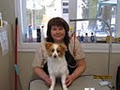 Little Wiggles Dog Grooming image 3