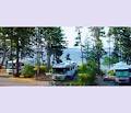 Living Forest Oceanside Campground and RV Park image 4