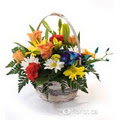 Lorraine's Floral Gallery Ltd image 2