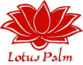 Lotus Palm image 1