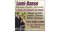 Lumi-Danse Inc image 6
