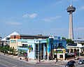 Margaritaville Cafe Niagara Falls image 1