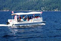 Mermaid Boat Tours image 1