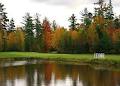 Miramichi Golf & Country Club image 3