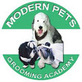 Modern Pets image 1