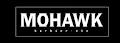 Mohawk Barbier Etc image 2
