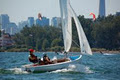 Mooredale Sailing Club - Toronto Sailing Club image 5