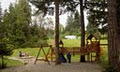 Mountainaire Campground and RV Park image 1