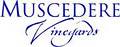 Muscedere Vineyards image 4