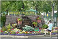 Niagara Falls KOA image 2