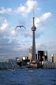 Niagara Falls Toronto Tours image 4
