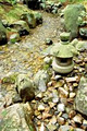 Nitobe Memorial Garden image 6