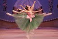 Oakville School of Dance The image 3