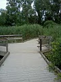 Ojibway Prairie Provincial Nature Reserve image 1