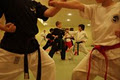 Olson's Gym Martial Arts and Boxing image 3