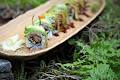 Opa Japanese Sushi Bar image 4