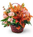 Ormistons Florist image 1