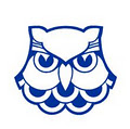 Owl Business Solutions logo