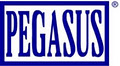 PEGASUS Glass image 3