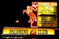 Palomino Club image 2