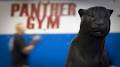 Panther Gym Kickboxing Boxing & Karate Studio image 3
