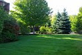 Paramount Landscaping image 4