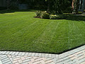 Partridge Landscaping - Best Landscapers & Lawn Maintenance Services London On image 6