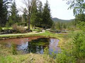 Pender Harbour Golf Club image 6