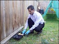 Pest Control in Vancouver, Pest Control Surrey, Burnaby, BC, Canada image 4