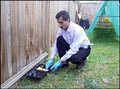 Pest Control in Vancouver, Pest Control Surrey, Burnaby, BC, Canada image 5