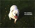 Pet Cuisine And Accessories image 5