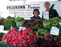 Pilgrims' Produce logo