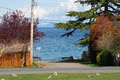 Qualicum House Bed and Breakfast image 3