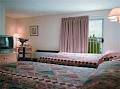 Quality Inn-King George image 4