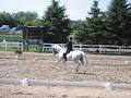 Queenswood Stables image 1