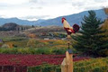 Red Rooster Winery logo