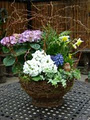 Regal Florist and Garden Centre image 4