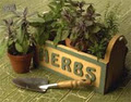 Richters Herbs image 4