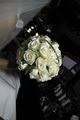 Roses image 2