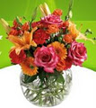 Same day flower delivery Mississauga- Nature's Accent image 1