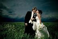 Shawn Taylor : Niagara Wedding Photographer image 2