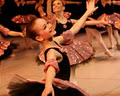 Shelley Shearer School of Dance image 4