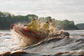 Shubenacadie River Runners image 3